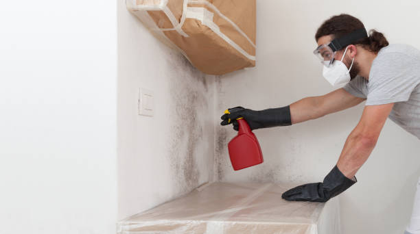 Professional Crawl Space Mold Remediation technician working in Winterville, GA