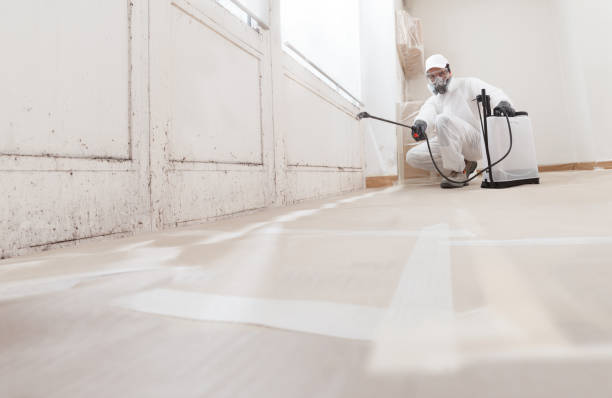 24/7 Emergency Crawl Space Mold Remediation experts in Winterville, GA